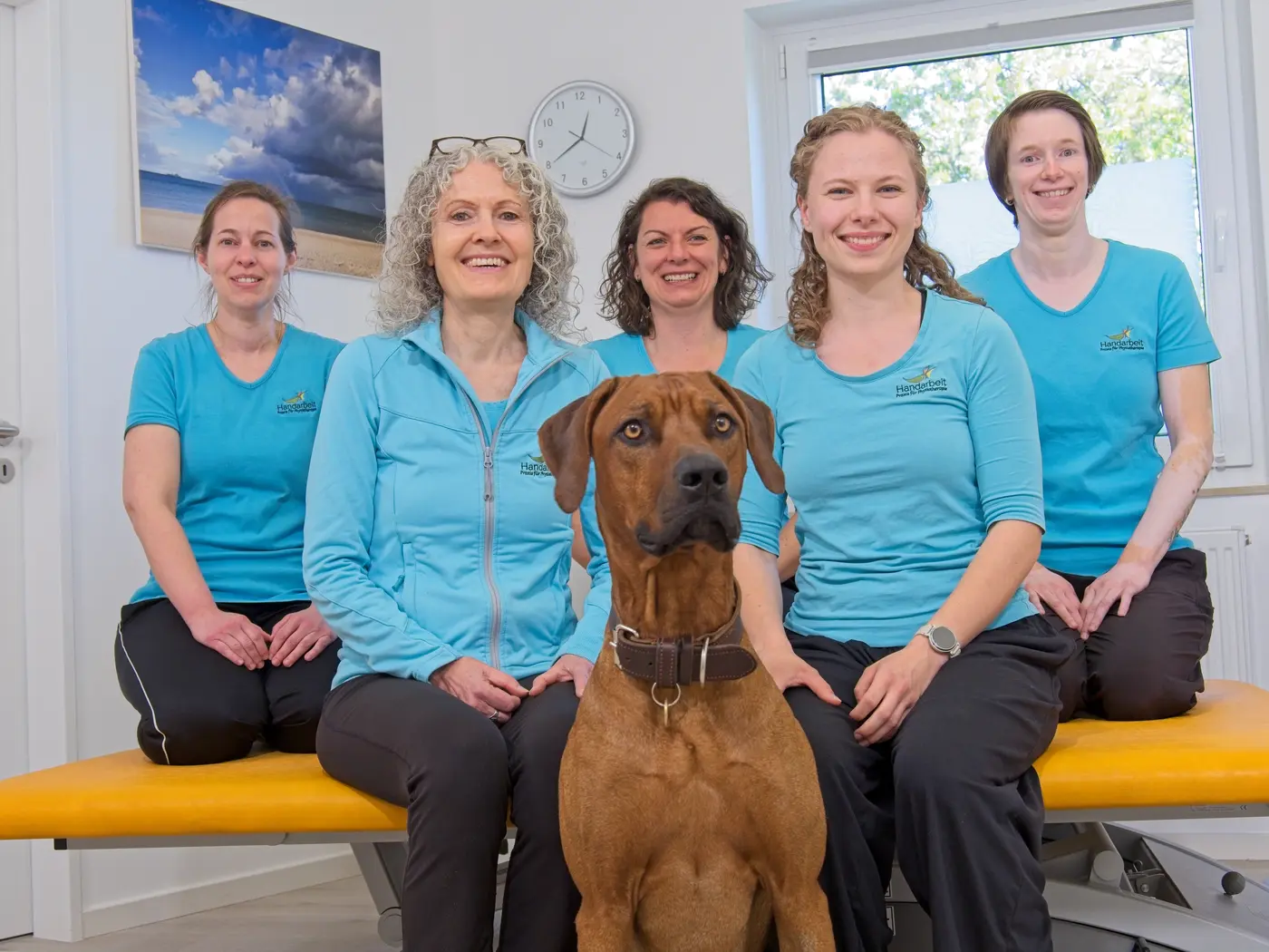 Das gesamte Team der Praxis Handarbeit gemeinsam mit Praxishund Cooper